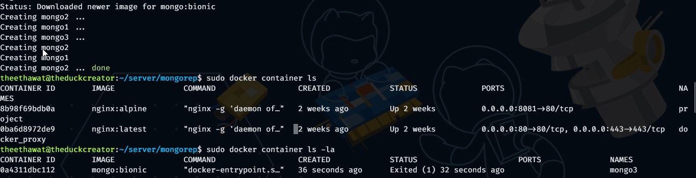 Docker Compose Up